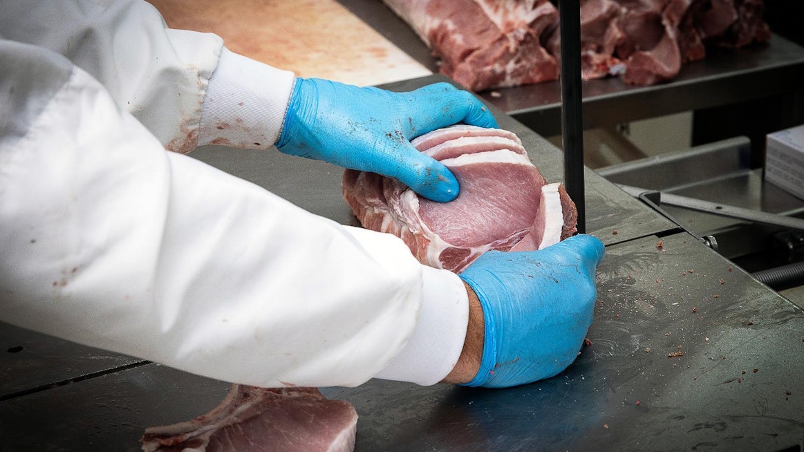 Pahan hajun voi huomata vasta lihaa kuumennettaessa, joten karjunhajuista raakaa lihaa kyetä rutiininomaisesti tunnistamaan etukäteen.