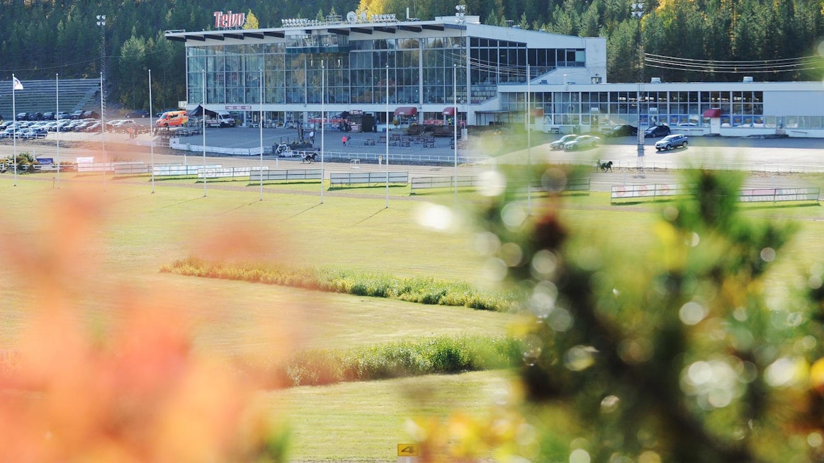 Viikon 75-kierros ravataan Teivossa. Urheilullista herkkua tarjoavat muun muassa Kriteriumit.