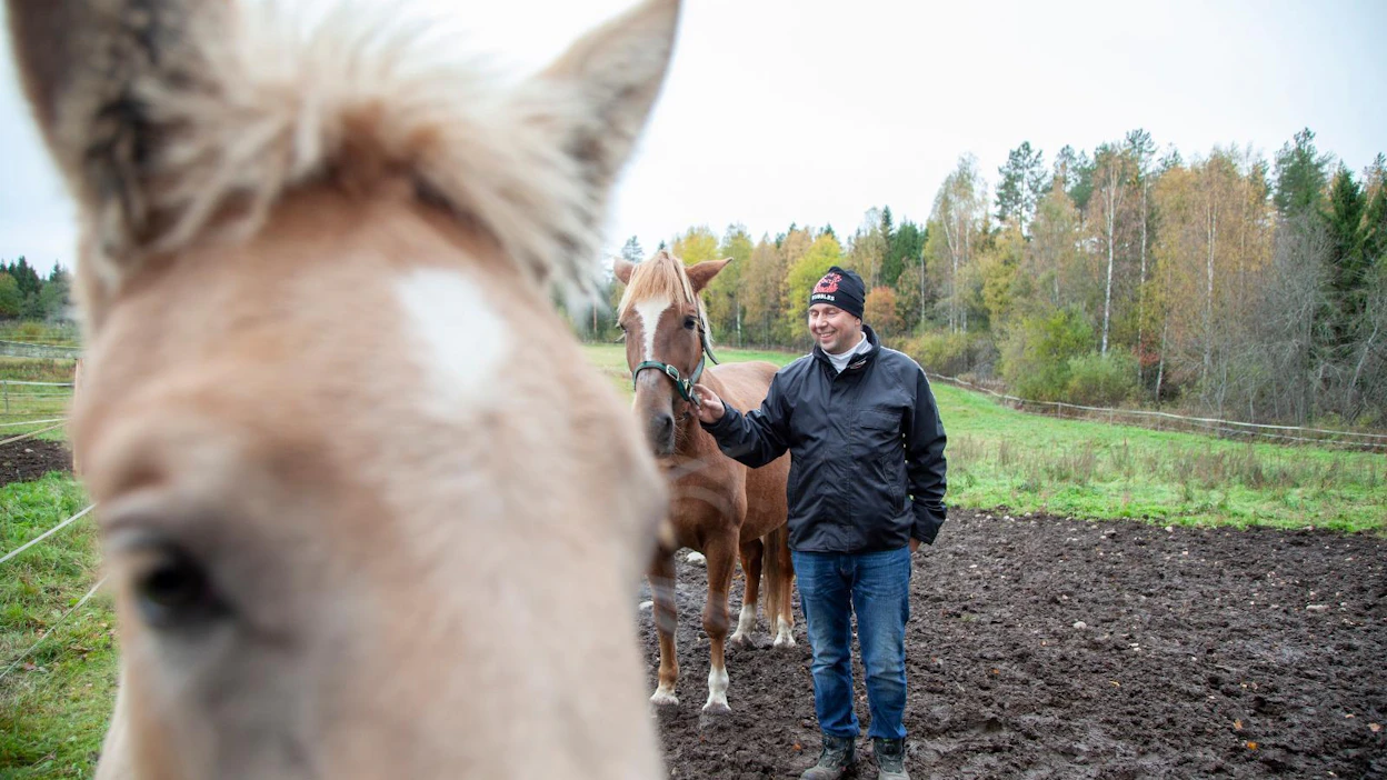 Raviurheilun ja hevosjalostuksen arvaamattomuutta kuvaa, että Viktor Kärpän emä Sirun Salama juoksi uransa 12 kilpailusta vain 183 euroa palkintorahaa, kertoo Antti Ripatti. Nyt Sirun Salamalla on kesällinen tammavarsa Hentun Liisa Fiilingistä.