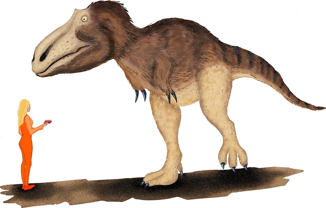 Tyrannosaurus rex eli pienellä alueella Pohjois-Amerikassa. Tyrannosaureja sen sijaan eli ympäri maailmaa. Suomen alueella eläneet tyrannosaurit olivat Tyrannosaurus rexiä pienempiä eli 7–10 metriä kuonosta hännänpäähän. Ne painoivat suurimmillaan kolme tonnia.