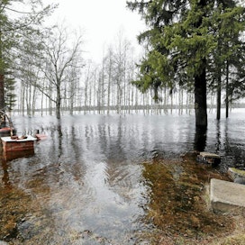 Pudasjärven rannassa Keräsenniemellä tulvavesi hätyyttelee jo pihapiirejä. Iijoen tulvahuippua odotetaan lähipäiviksi.