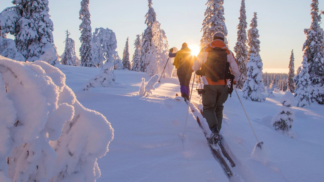 Jos 100 000 suomalaista ottaa käyttöön Suomi.fi-viestit helmikuun loppuun mennessä, Verohallinnon pääjohtaja Markku Heikura ja Väestörekisterikeskuksen ylijohtaja Janne Viskari virkamiehineen hiihtävät 10 000 kilometriä. Kuvituskuva.