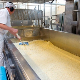 Pieni ahvenanmaalaismeijeri ÅCA on erikoistunut juustojen valmistukseen.