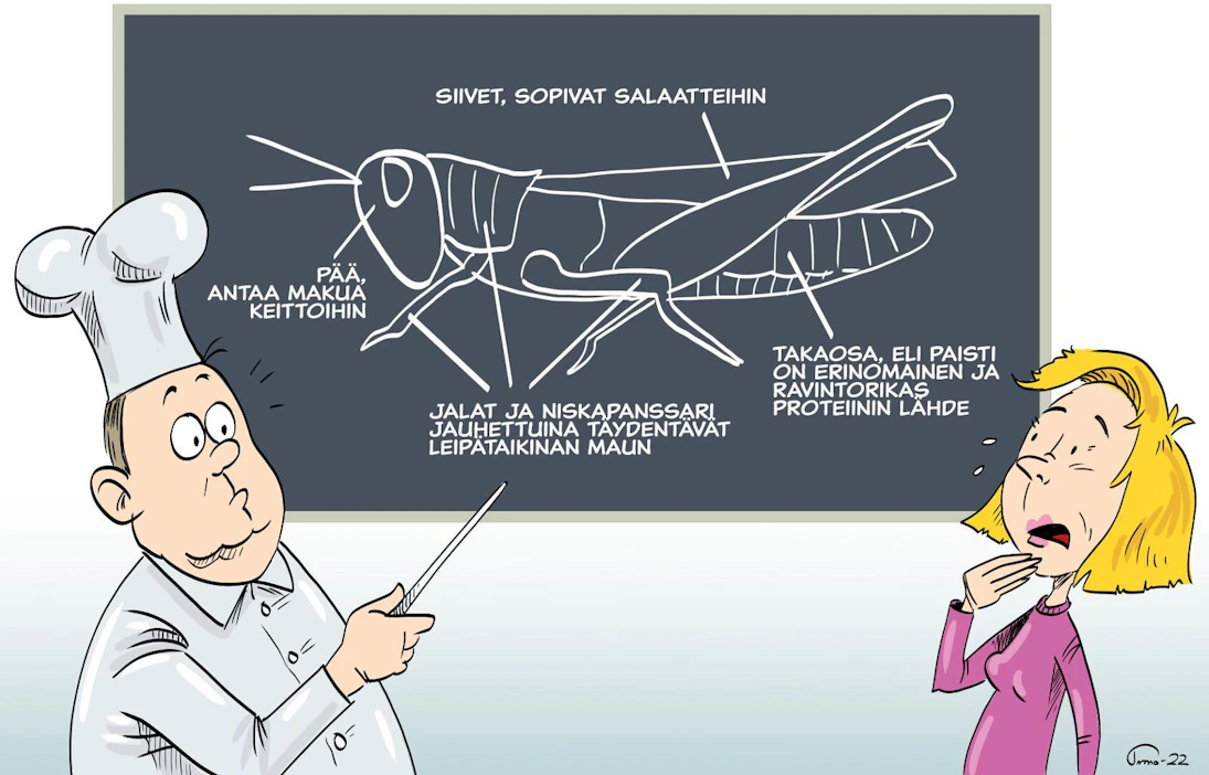 Tällä hetkellä hyönteinen pitää käyttää elintarvikkeessa kokonaisuudessaan. Toiset osat sopivat kuitenkin ravinnoksi toisia paremmin.