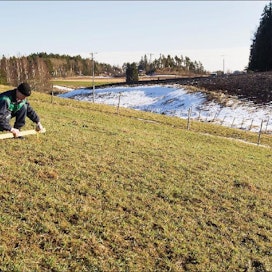 Janne Toivonen mittaa vatupassilla kaltevuutta nurmilohkolla. Koska kaltevuus on yli 15 prosenttia, nitraattiasetus kieltää lannanlevityksen mittauskohdassa. Markku Vuorikari