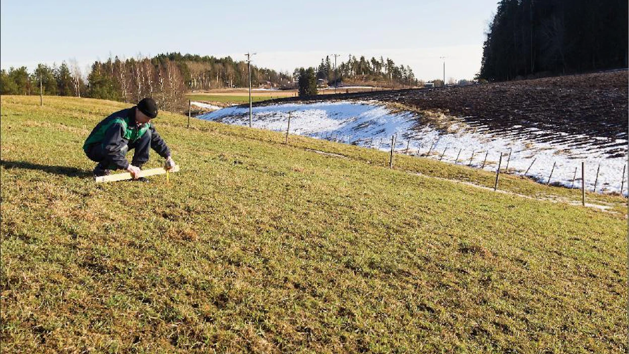 Janne Toivonen mittaa vatupassilla kaltevuutta nurmilohkolla. Koska kaltevuus on yli 15 prosenttia, nitraattiasetus kieltää lannanlevityksen mittauskohdassa. Markku Vuorikari