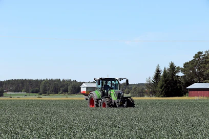 Fendt Vario 313 -traktori menestyi Tractor of the Year -kilpailussa, jossa se valittiin yleistraktoreiden sarjassa Vuoden 2019 traktoriksi.