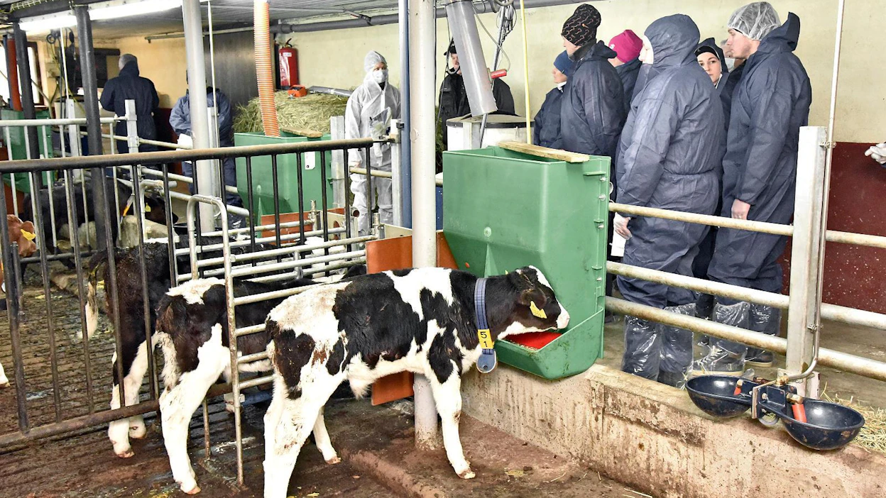 Vierailijaryhmien suojautumiseen ja käsien desinfiointiin on kiinnitettävä erityistä huomiota. Tautisulku ja suojavarusteet ovat maitotiloilla yleensä kunnossa.