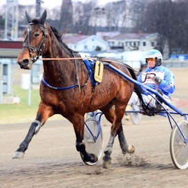 Mikko Aho, kuvassa elämänsä hevosen Art On Linen rattailla, valmentaa Vaggerydin 86-kierroksen ideavarmaa Ready Trophya.