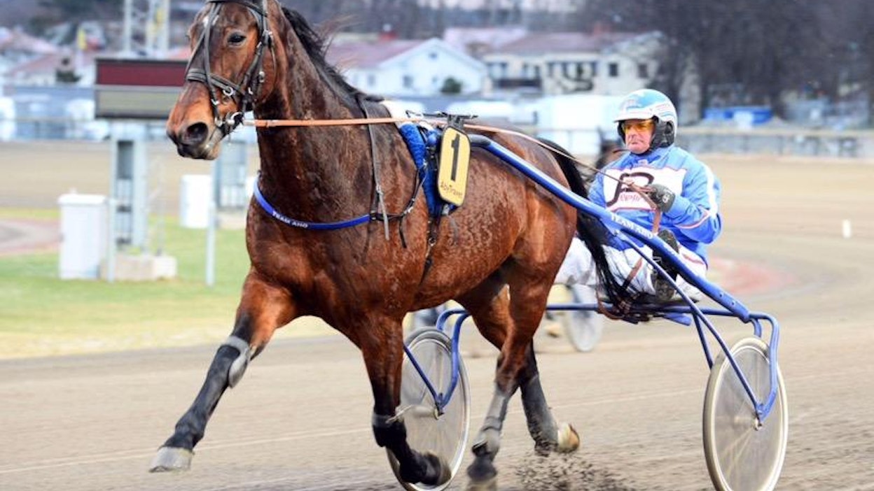 Mikko Aho, kuvassa elämänsä hevosen Art On Linen rattailla, valmentaa Vaggerydin 86-kierroksen ideavarmaa Ready Trophya.