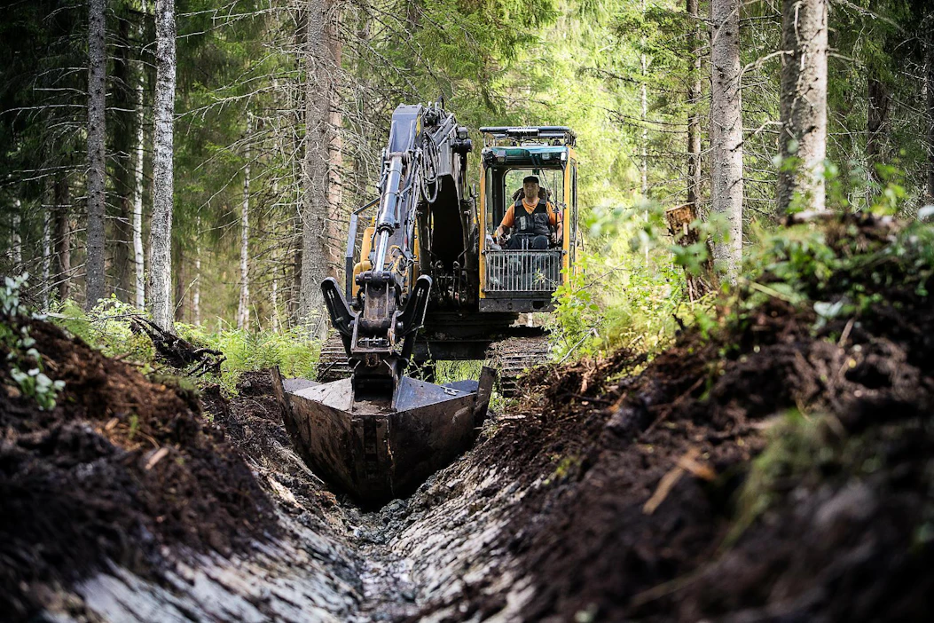 Ojitetuissa turvemetsissä olisi mahdollista harjoittaa jatkuvapeitteistä kasvatusta, sanoo Luonnonvarakeskuksen apulaisprofessori Aleksi Lehtonen.