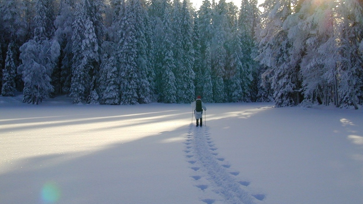 MT:n pitkäaikainen kolumnisti Pekka Ervasti on koonnut erätarinoitaan kirjaksi.