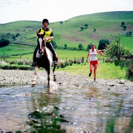 Ihminen vastaan hevonen -maraton järjestetään Walesissa. Ensi toukokuussa tapahtumalla on 40-vuotisjuhlavuosi.