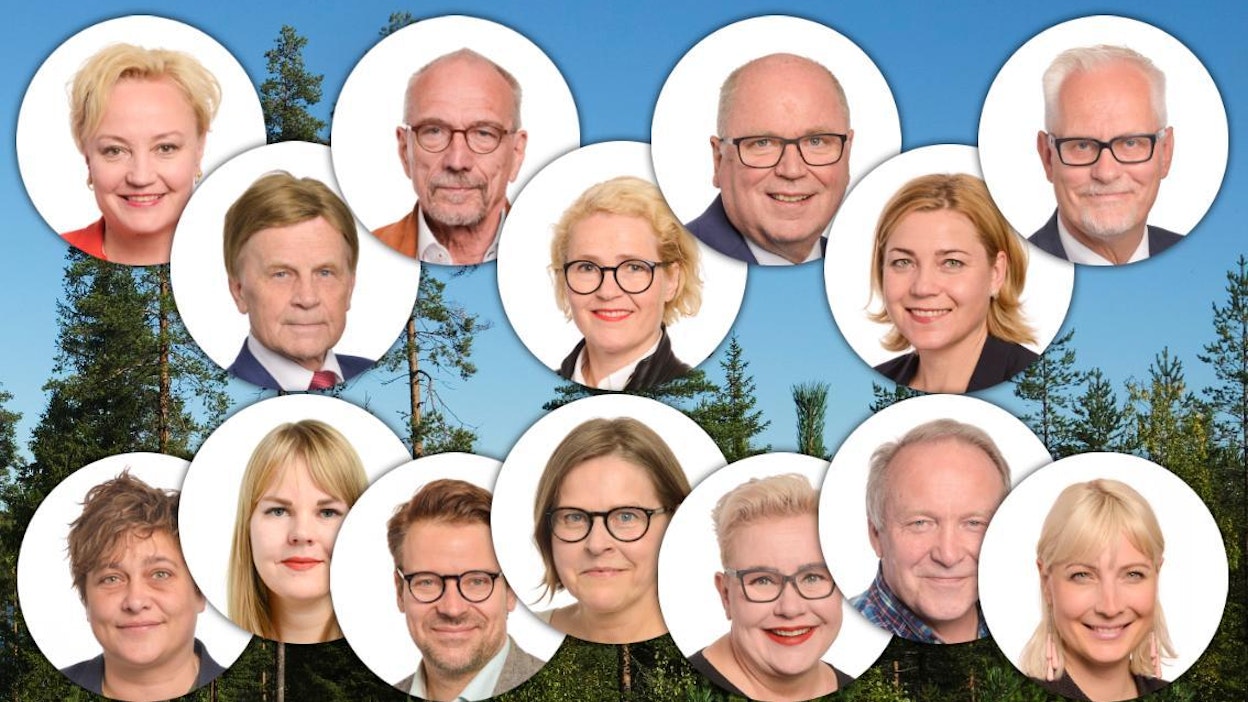 Suomen 14:sta europarlamentaarikosta seitsemän äänesti vaihtoehtoisia metsäraportteja.