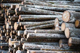 Ennen kauppaa Metsäliitto omisti Finsilvasta noin viidenneksen.