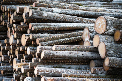 Ennen kauppaa Metsäliitto omisti Finsilvasta noin viidenneksen.