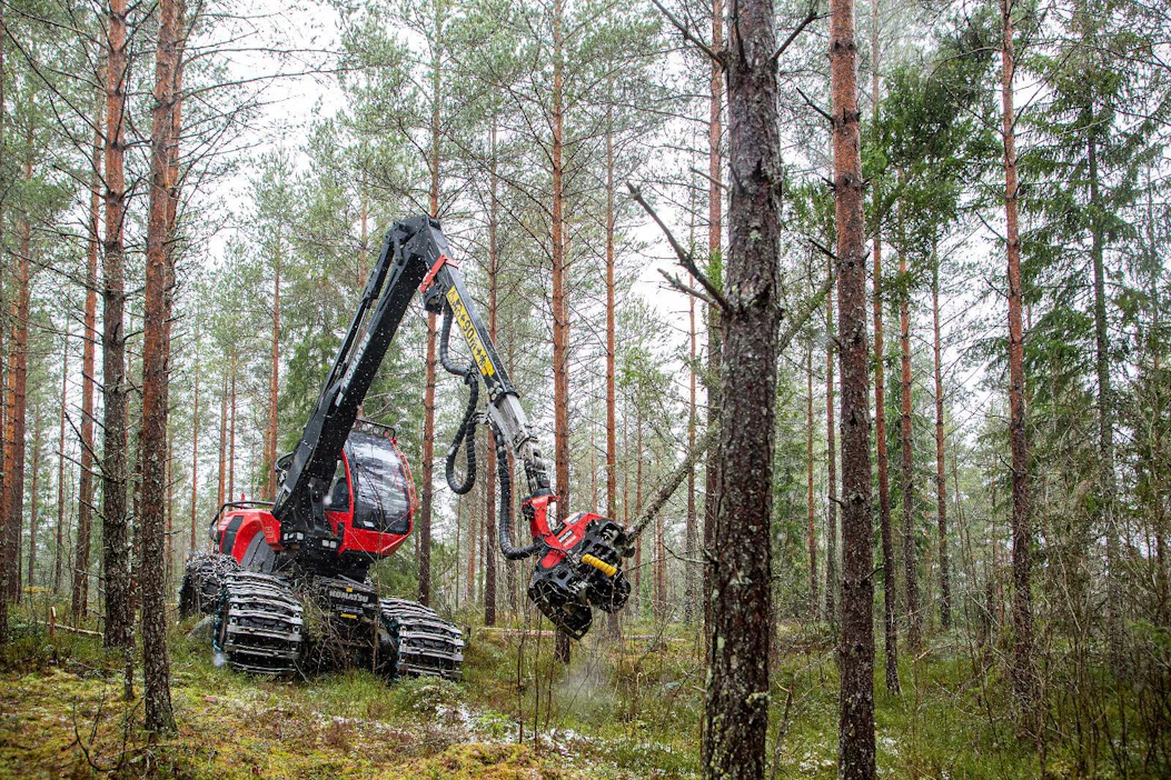 Metsäyhtiöt ostavat nyt erityisesti kesäkorjuukelpoisia harvennusleimikoita.