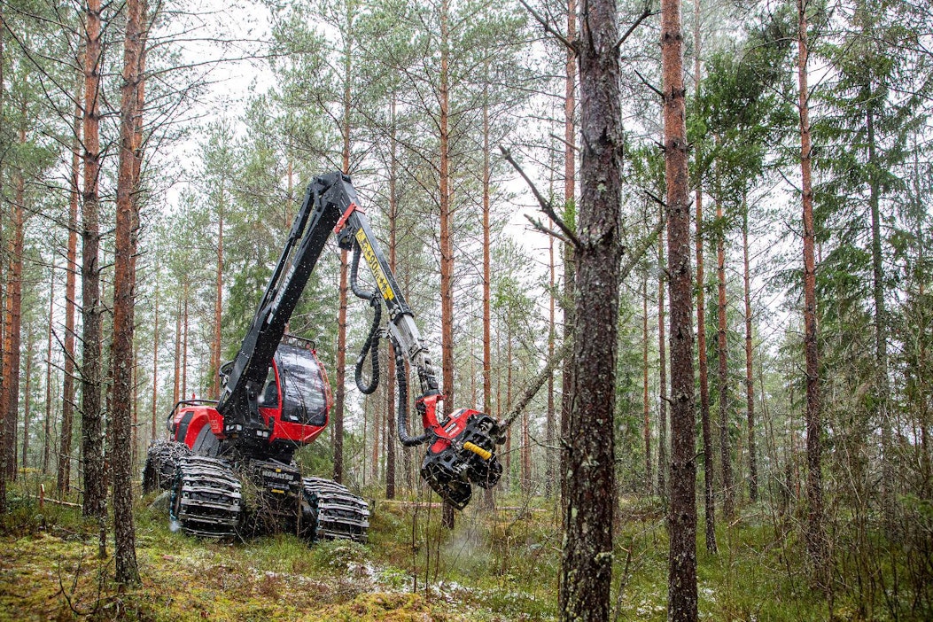 Metsäyhtiöt ostavat nyt erityisesti kesäkorjuukelpoisia harvennusleimikoita.
