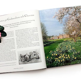 Kurkistus Jane Austenin kotimaisemiin paljastaa, että kirjailija oli myös taitava puutarhuri. Hänellä oli ymmärrystä sekä maisemasuunnittelusta että arkisesta puutarhatyöstä.
