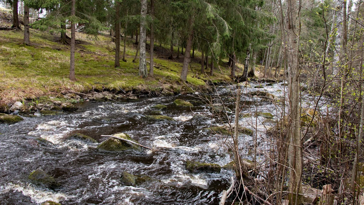 Kylää halkovan Keravanjoen lukuisista koskista useampi osuu juuri Kaukasiin. Kuvassa kuohuu Lehmäkoski.