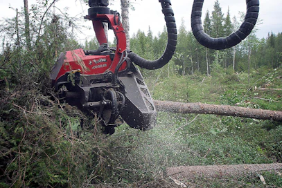 Hakkuukoneen kuljettaja jakaa rungon metsässä tukiksi, pikkutukiksi ja kuiduksi. Metsänomistaja hyötyy sitä enemmän, mitä enemmän puusta saadaan arvokasta tukkiosaa.