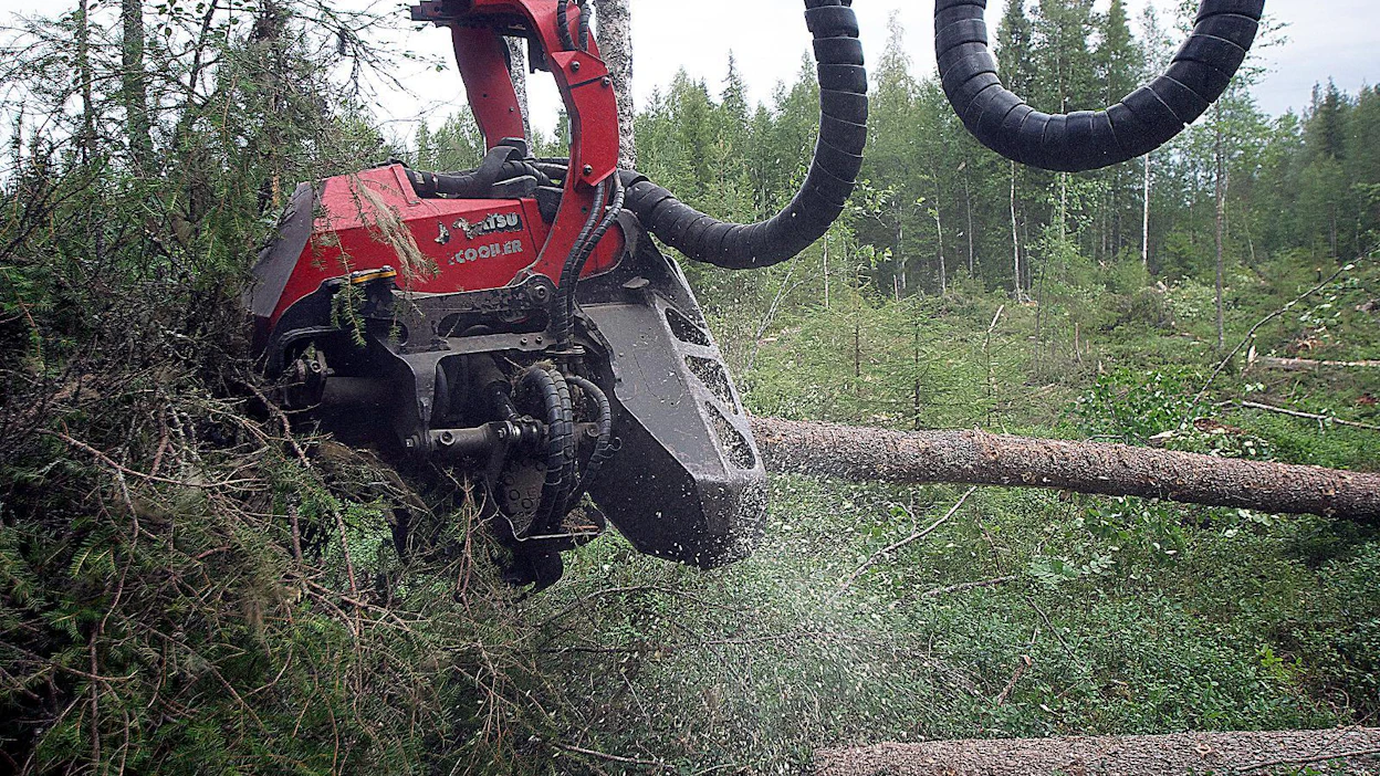 Hakkuukoneen kuljettaja jakaa rungon metsässä tukiksi, pikkutukiksi ja kuiduksi. Metsänomistaja hyötyy sitä enemmän, mitä enemmän puusta saadaan arvokasta tukkiosaa.