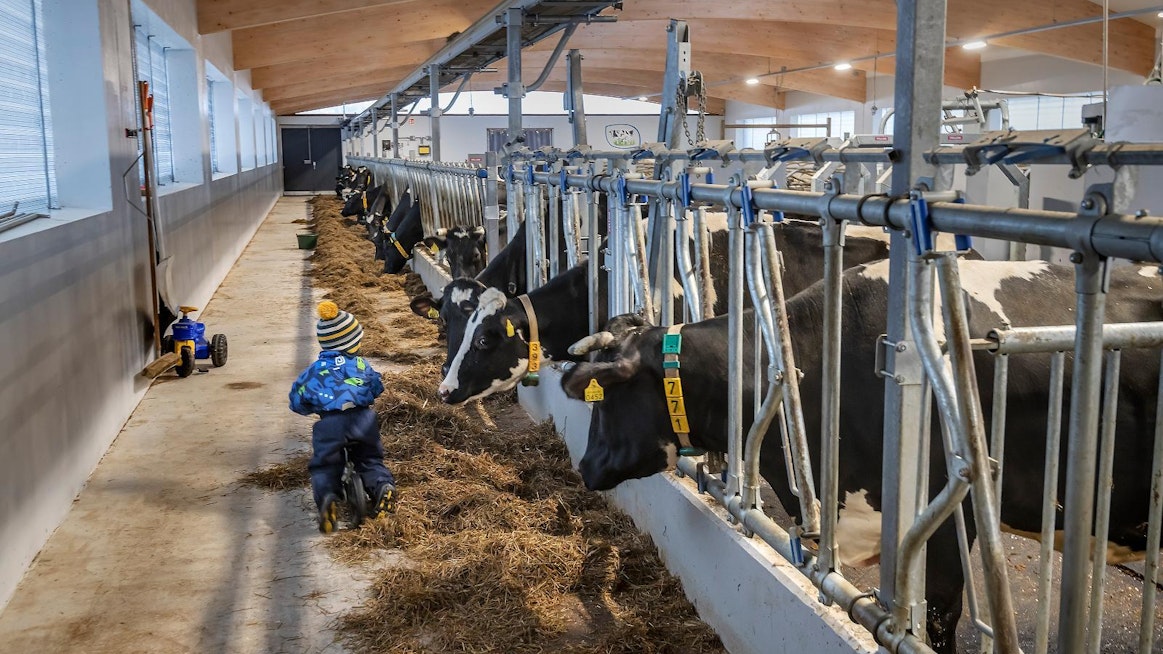 Pelkkä tilan koko tai taloudelliset tunnusluvut eivät välttämättä kerro sitä, miten menestyneeksi viljelijä itsensä kokee. Kuvituskuva.