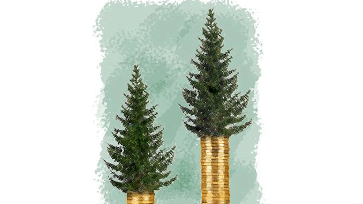 Tukin hintaan vaikuttaa niin moni tekijä, että kohteiden välillä hintaero voi olla monta euroa.