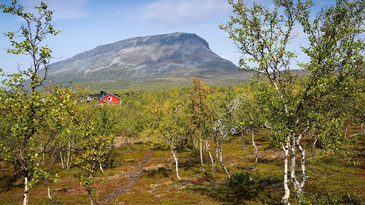 Lapin matkailustrategiassa haetaan toukokuusta lokakuulle ulottuvalle lumettomalle kaudelle kasvua erityisesti ulkomaisten yöpymisestä ja vapaa-ajan matkailusta.