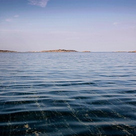 Jätevedenpuhdistamoihin tulee niin paljon ihmisten virtsan sisältämää proteiinia, että osa siitä valuu Itämereen rehevöittäen ennestään kuormittunutta merta.