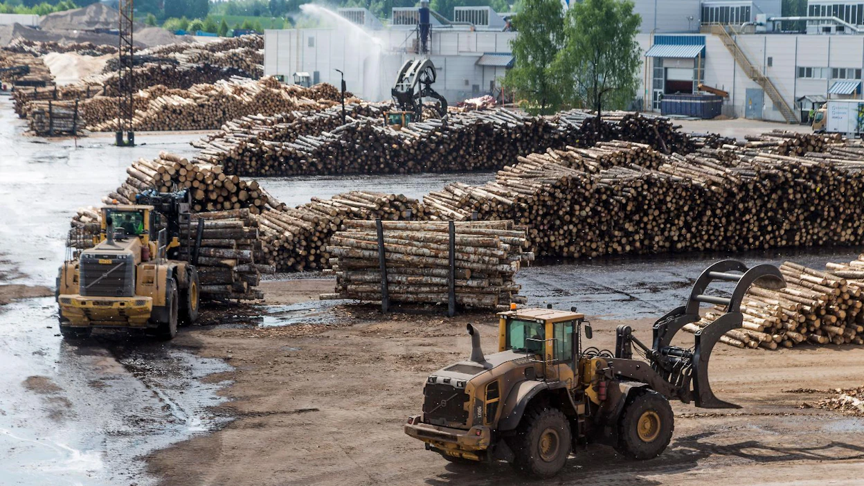 Paperi- ja kartonkituotteet ovat Suomen tärkein vientituote. Metsäteollisuuden viennin arvo on Tullin tilastojen mukaan kaikkiaan yli 13 miljardia euroa vuositasolla.