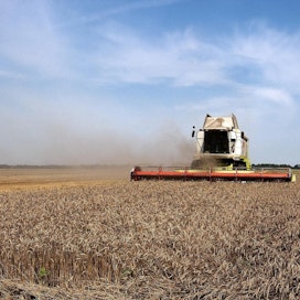 Yhdysvaltojen maatalousministeriö nosti viimeviikkoisessa raportissaan Mustanmeren alueen satoennusteita harvinaisen paljon. Kuvassa puidaan vehnää Ukrainassa.