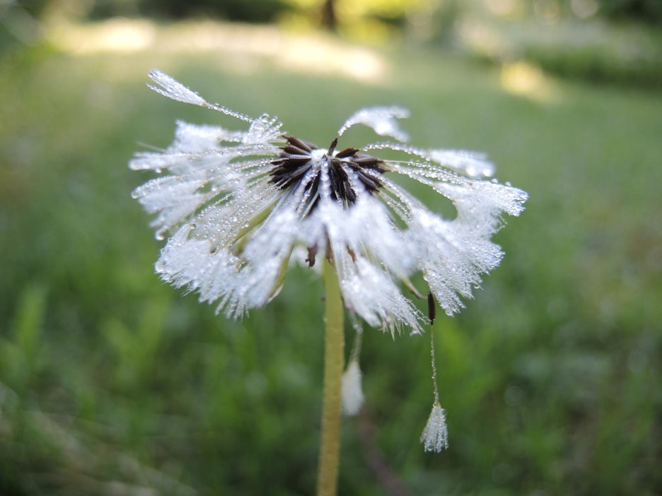 Aloite ehdottaa kriteerejä eutanasian sallimiselle.