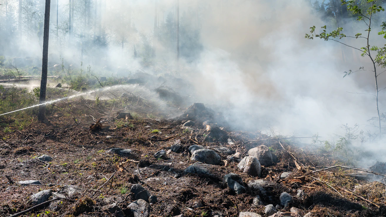 Massif des Landes de Gascognen alueella riehui heinäkuun aikana peräti kaksi suurta tulipaloa. Kuvituskuva.