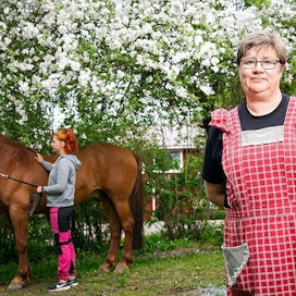 Ilolan tilalla asustaa tusinan verran hevosia, muun muassa suomenhevosia ja pari ponia. Kirsi Ilola-Ollikan tytär Salla Ollikka hoitaa hevosia. Kuvassa on suomenhevosruuna Seppo.