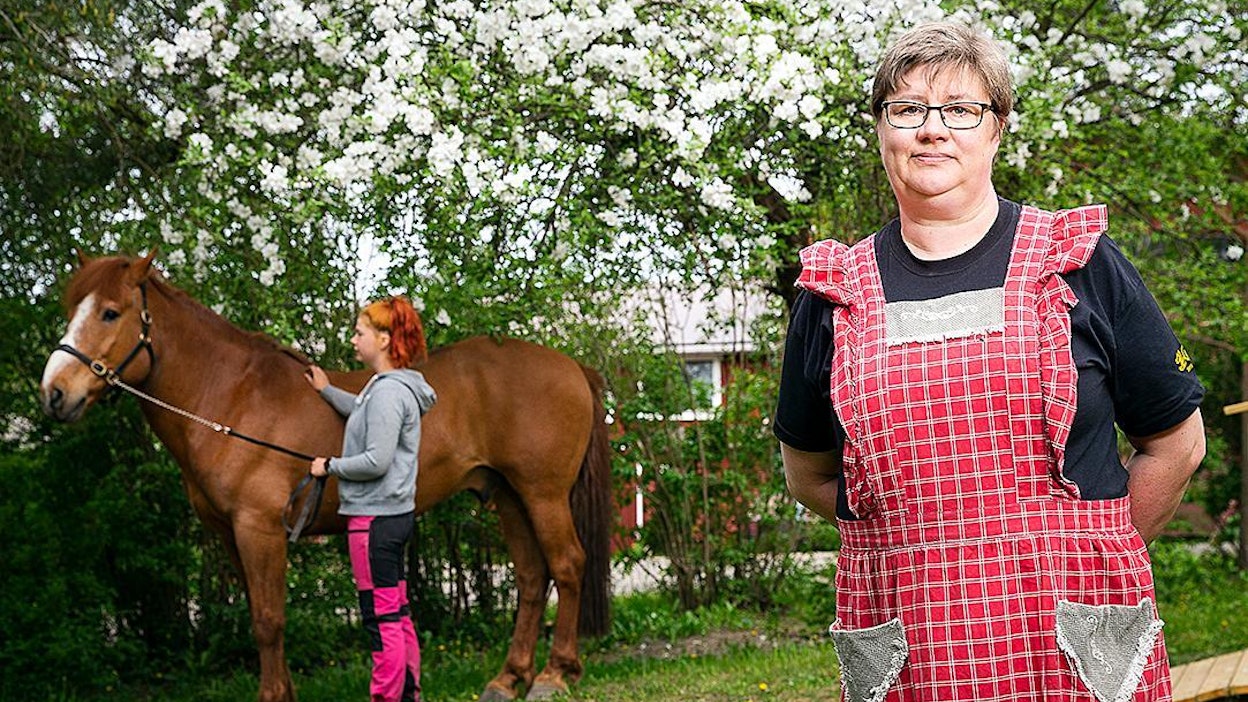 Ilolan tilalla asustaa tusinan verran hevosia, muun muassa suomenhevosia ja pari ponia. Kirsi Ilola-Ollikan tytär Salla Ollikka hoitaa hevosia. Kuvassa on suomenhevosruuna Seppo.