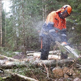 Heikki Hakkarainen on työskennellyt metsänhoitoyhdistyksen metsurina Rengossa vuodesta 1991. Sen jälkeen konehakkuut ovat yleistyneet ja paljon metsureita on irtisanottu, mutta monilla kohteilla metsurihakkuita tarvitaan yhä. Kari Salonen