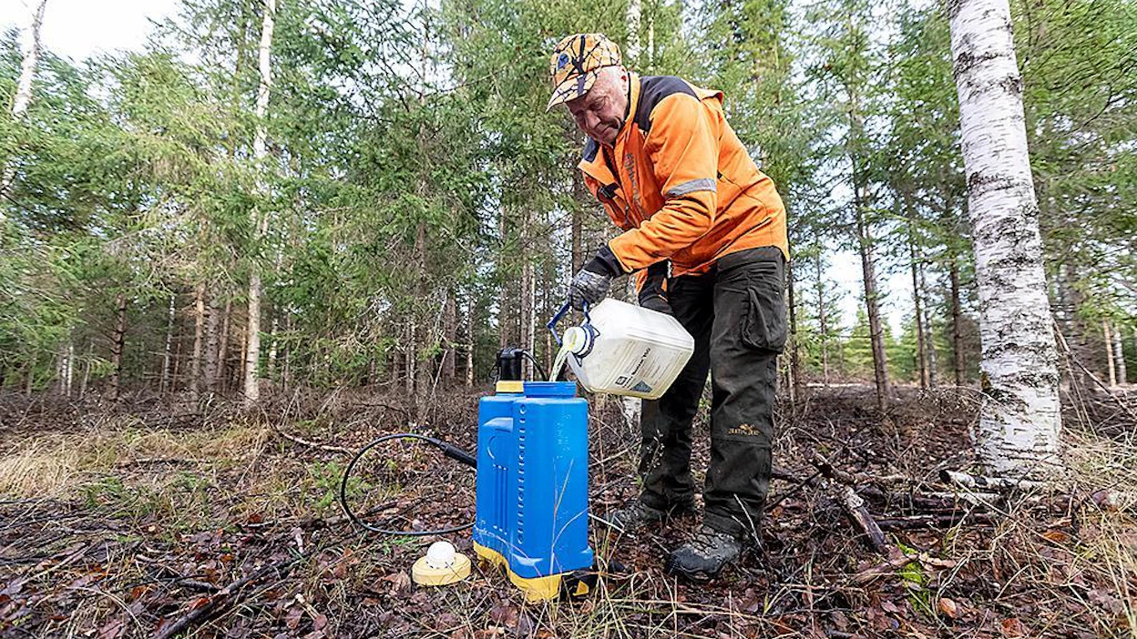 Matti Äijö laimentaa nestemäistä booria vedellä. Nestemäistä boorilannoitetta voi levittää esimerkiksi reppuruiskulla.