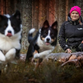 Koirakoulu Napakan yrittäjä Niina Leinonen harrastaa omien bordercolliensa kanssa muun muassa agilityä. Päivittäinen metsässä ulkoilu on tärkeä arkirutiini.