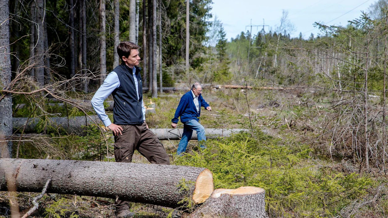 "Moni maanomistaja ei asu alueella, eivätkä he sen takia välttämättä tiedä hakkuista", Fiskarsin metsäpäällikkö Robert Lindholm kertoo.