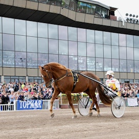 Viesker on edelleen yksi Heppa-järjestelmän haetuimmista hevosista, vaikka ori lopetti uransa jo yli 17 vuotta sitten.