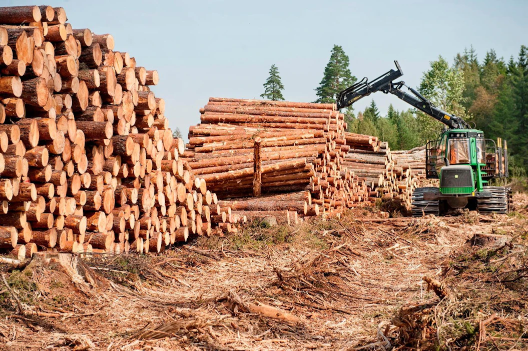 Ruotsalainen valtionyhtiö Sveaskog ryhtyy tarjoamaan rahoitusta paikallisille metsäkoneyrittäjille.