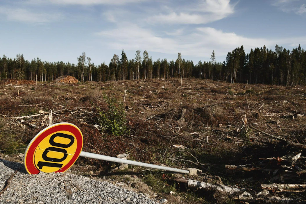 Parannettavaa riittää ympäristö- ja ilmastoasioiden saralla. LEHTIKUVA / RONI REKOMAA