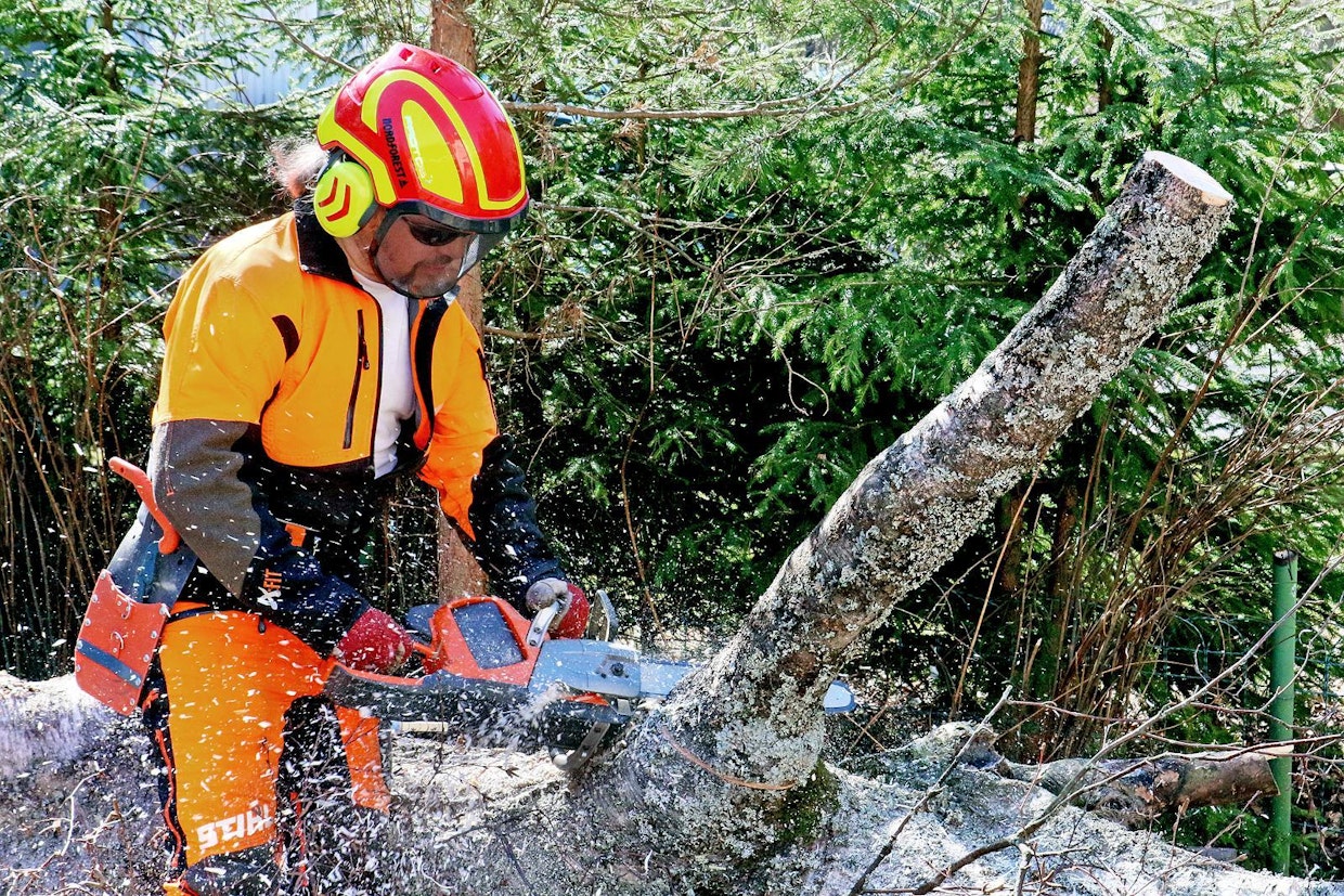 Leikkuutehoa 540i XP:ssä on kiitettävästi. 14” laipallakin saa sahata koko laipan mitalta, eikä saha helpolla hyydy. Arboristitöissä se mahdollistaa periaatteessa 540i XP:n käyttämisen ainoana kakkossahana pihapuunkaatotöissä, pitkälaippaisen polttomoottorimallin sahan tehokkaana kaverina.
