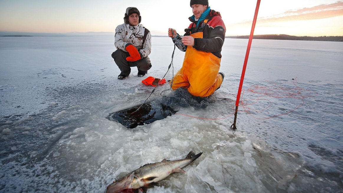 Kalastaja Esa Kotilainen arvostaa työssään eniten luonnossa olemista ja vapautta. Toissa viikolla apulaisena mukana Kivijärven jäällä oli työharjoittelua tekevä Marko Puusaari (vas.).