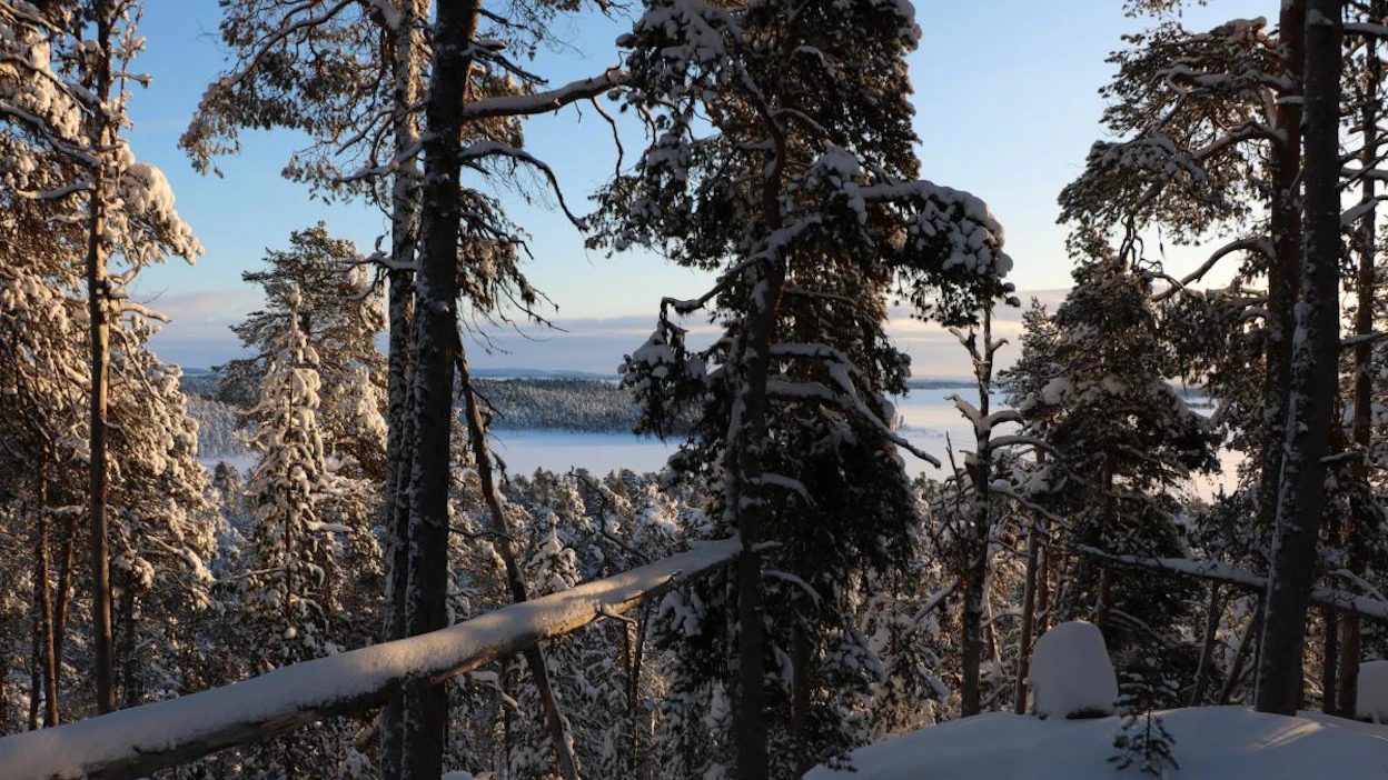 Suojelualueen rannalta on näköyhteys Äijjih-saareen eli Ukkoon, saamelaisten pyhään seitaan.
