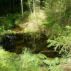 Metsälain kymppipykälä suojelee muun muassa lähteiden ja purojen välittömät lähiympäristöt.