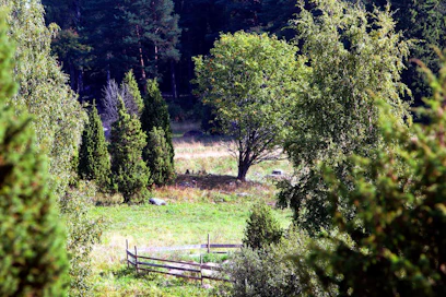 Luonnonsuojeluliiton mukaan maatalouden tuet voivat heikentää ympäristön tilaa.