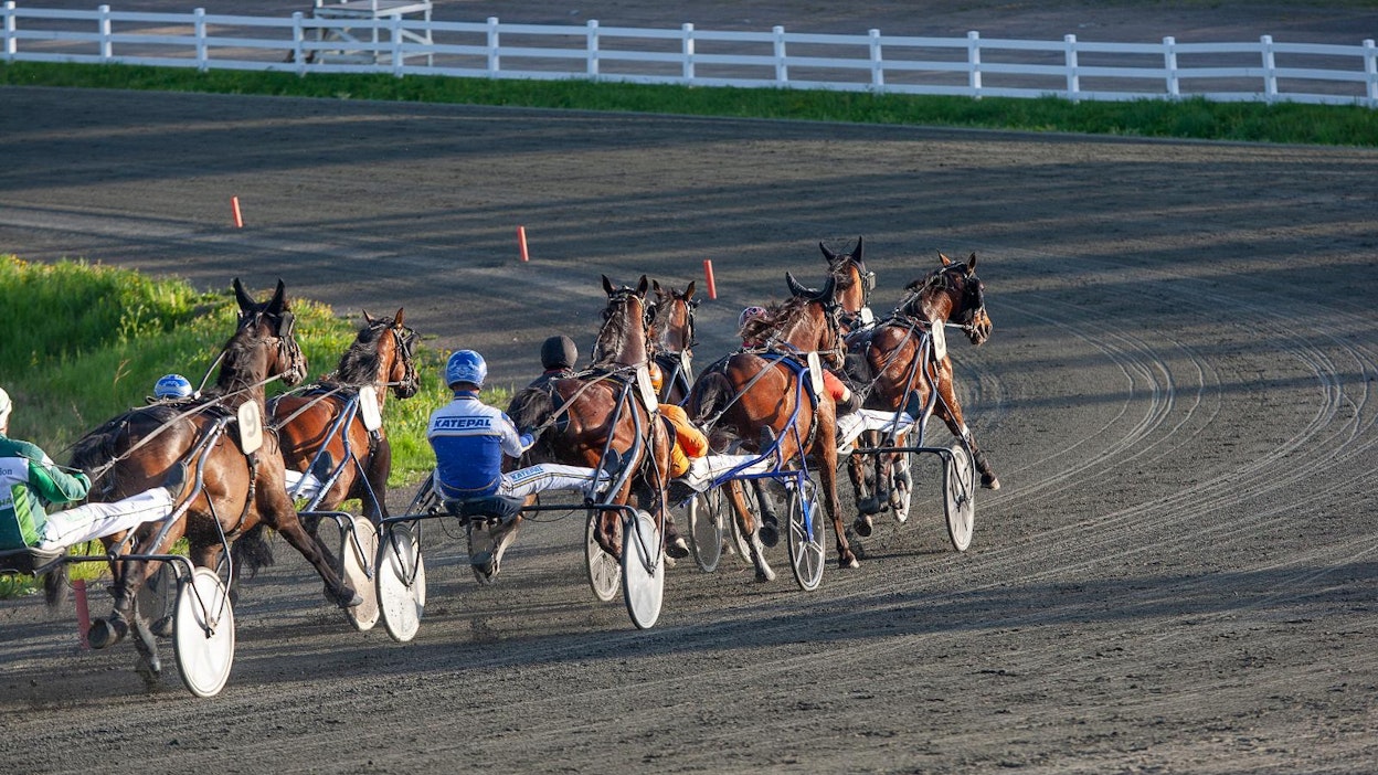 Ravit pyörivät jo korona-tauon jälkeen, mutta Suomen Hippoksen luottamuselimissä on eripuraa.
