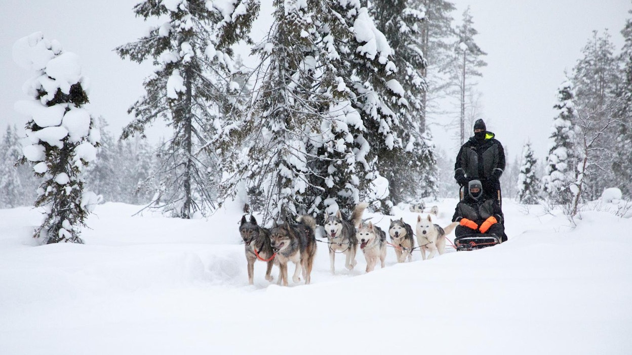 Talvilomat ovat matkailuyrittäjille kiireistä aikaa.